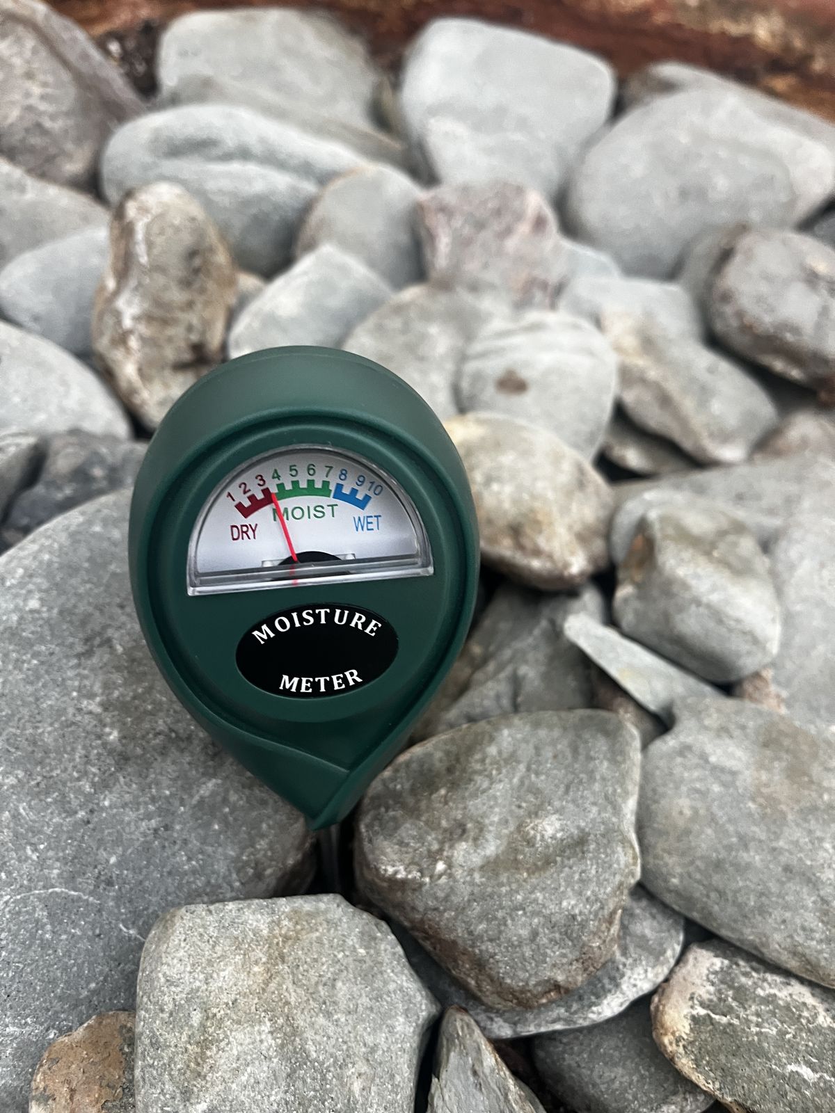 Moisture meter reading during a houseplant health assessment